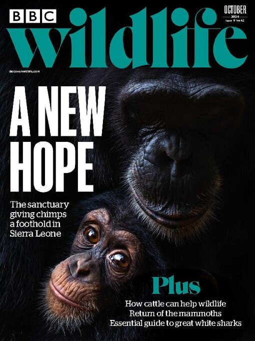 Upplýsingar um BBC Wildlife Magazine eftir Our Media Limited - Til útláns